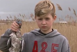Scuola in Inghilterra insegna a spennare piccioni