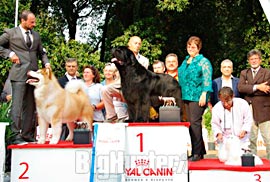 podio Royal Canin