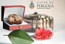 20 Fiera tartufo Pergola