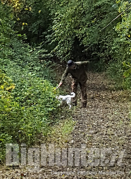 Tartufo cane Rubrica