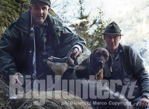 Marco Benecchi caccia al camoscio