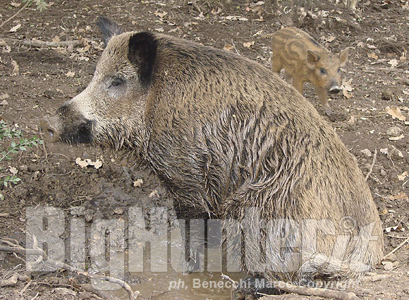 Bighunter Blog Un Insolito Regalo Di Natale
