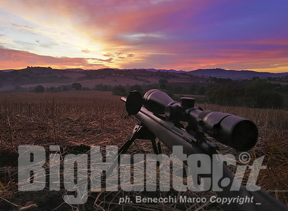 BigHunter Blog - Armi e munizioni per la caccia alla volpe