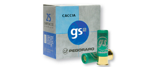 gs2 caccia