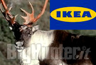 Animalisti contro Ikea