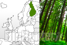 La Finlandia ha la percentuale più alta di foreste in Europa