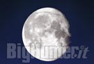 La luna influenza gli animali