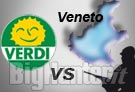 Verdi accusano la Regione Veneto