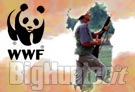 Ricorso al Tar WWF calendario venatorio Sardegna