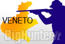Veneto: progetto Lega su caccia in deroga