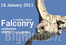 Falconry 19 gen 2011