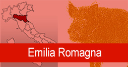 Cinghiali Emilia Romagna