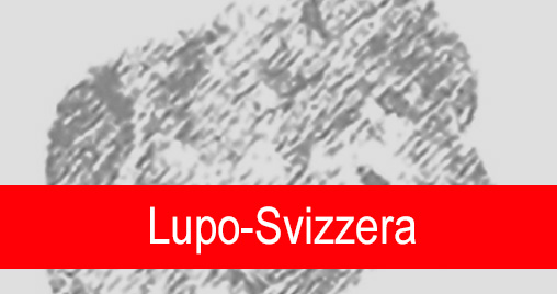 Lupo Svizzera